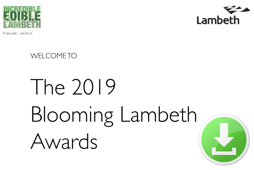 IEL Blooming Lambeth Awards 2019 Slide Deck