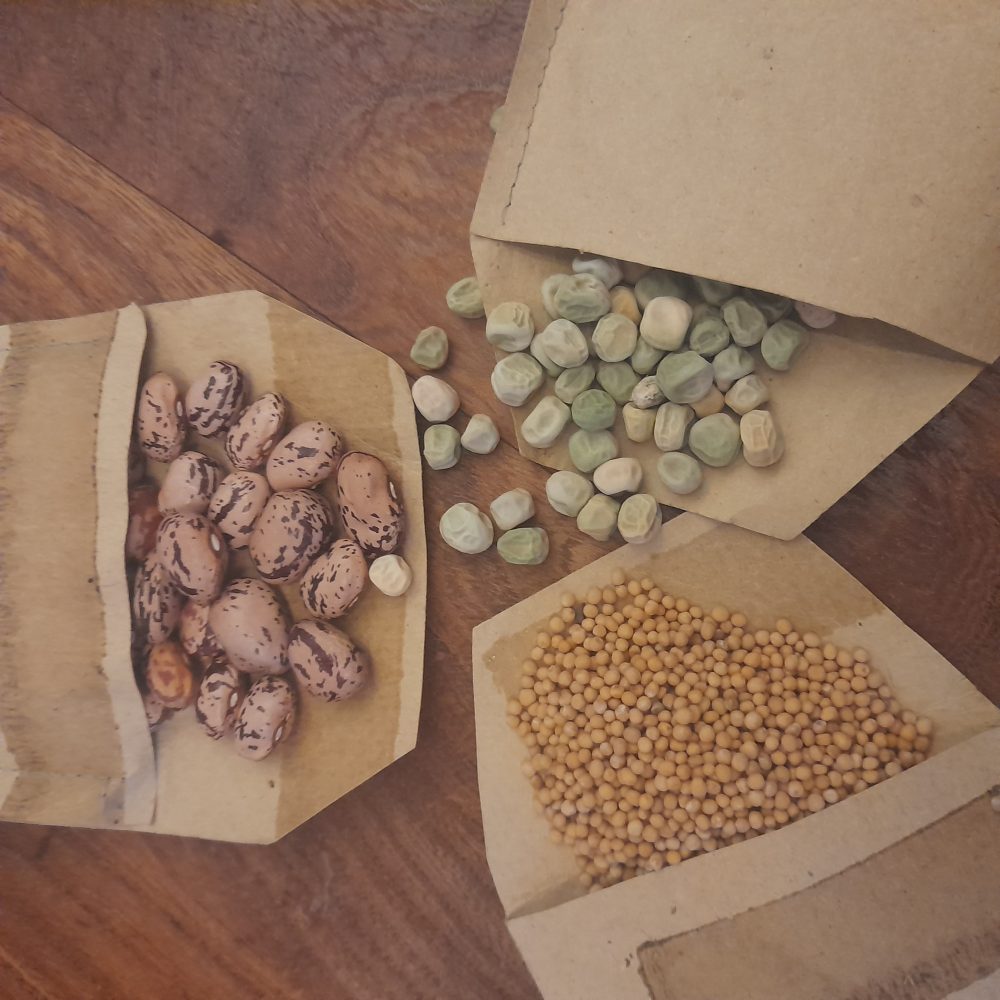 open seed packets